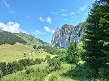 Trail Walking Vacheresse - Tour du Mont Chauffé  - Photo