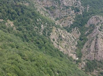 Tour Wandern Riols - saut de vesole - Photo