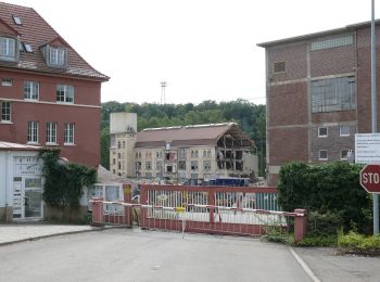 Randonnée A pied Gemmrigheim - Gemmrigheimer Rundwanderweg - Photo