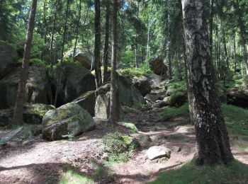 Trail On foot Olbersdorf - LG-Gelber Strich - Photo