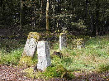 Randonnée A pied Bad Soden-Salmünster - Mernes - Wanderweg Schmetterling - Photo