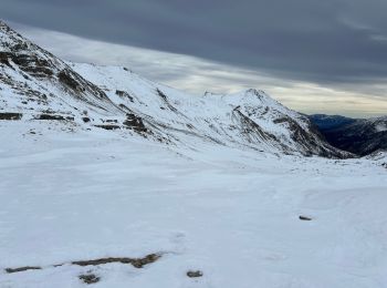 Tocht Sneeuwschoenen Saint-Dalmas-le-Selvage - Col de la Moutière - Photo