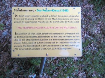 Trail On foot Losheim am See - Waldsaumweg - Photo