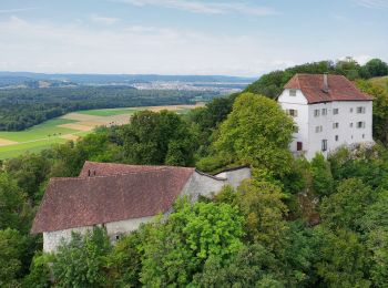 Tour Zu Fuß Brunegg - Schloss Wildegg - Brunegg - Photo