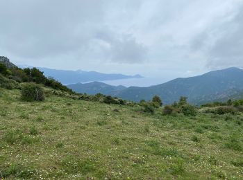 Randonnée Marche Manso - Corse 2023: Tuvarelli - Sierrera - Photo