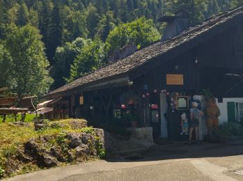 Tocht Stappen Boudry - gorges areuse - Photo