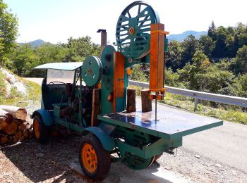 Percorso A piedi Corniglio - Sentiero di Maria Luigia - Photo