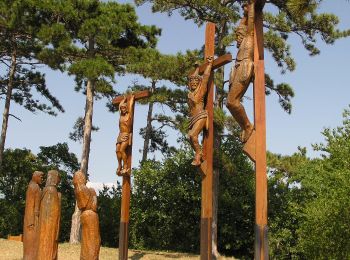 Percorso A piedi Balatongyörök - Pad-kő - Szentmihály-domb zöld kereszt jelzés - Photo