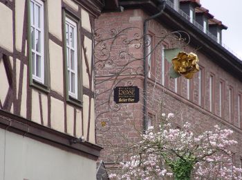 Randonnée A pied Lohr am Main - Kulturweg Lohr 3 - Photo