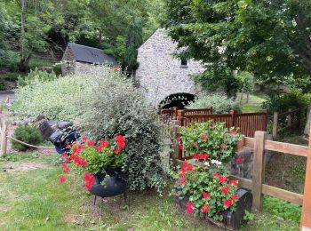 Trail Walking Saint-Lary-Soulan - AZET : Pla d’Ourtigué en boucle - Photo