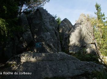 Excursión Senderismo Le Bonhomme - Tête de Faux & roche du corbeau - Photo