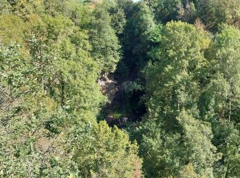 Tocht Stappen Vic-sur-Cère - pas de cere - Photo