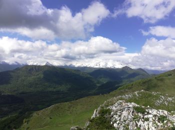 Percorso Marcia Salles - Col d'Andorre - Photo