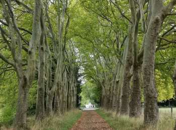 Excursión Senderismo Yvoir - Godinne ... par les Rochers de Fidevoye. - Photo