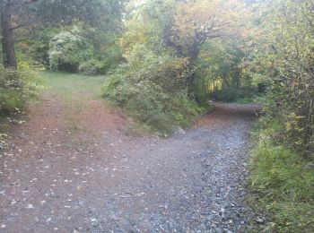 Trail Walking Pontis - La rama 171021 - Photo