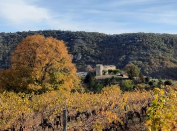 Tour Wandern Flaviac - Flaviac Serre de l'Eglise 15km - Photo