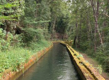 Tour Wandern Saint-Girons - St girons la cascade d Aubert  - Photo