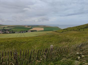 Excursión Senderismo Sangatte - Cap Blanc Nez  - Photo