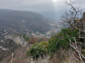 Trail Walking Manas - Manas Pont-de Barret Ste Euphémie 7km. - Photo