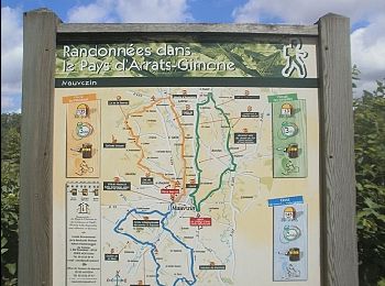 Trail On foot Mauvezin - Circuit des Jonquilles - Photo
