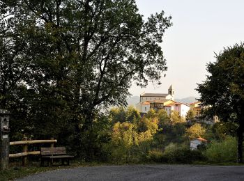 Tocht Te voet Vernio - Sentiero CAI 62A - Sez. Prato - Photo