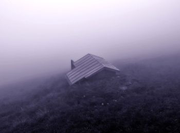 Randonnée A pied Sankt Gilgen - Schafbergsteig - Photo