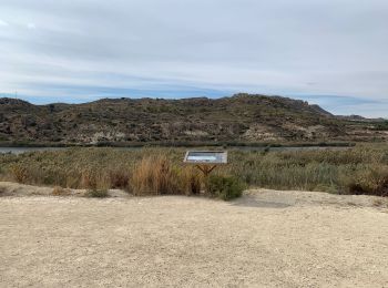 Trail Walking Elx / Elche - Barrage  - Photo