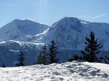 Tour Schneeschuhwandern Vaulnaveys-le-Haut - Croix-de Chamrousse-2021-02-17 - Photo