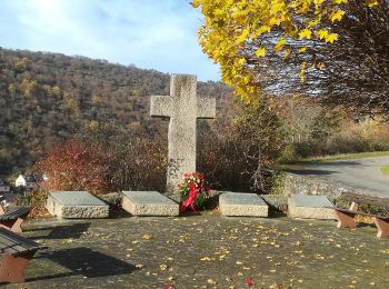 Percorso A piedi Lorch - Rundwanderweg Lorch 4 - Photo