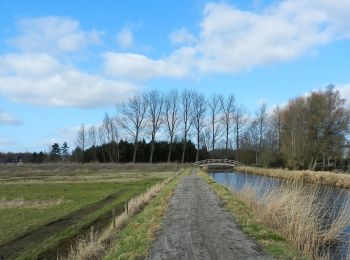 Trail On foot Lokeren - Liniewegelroute - Photo