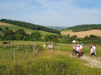 Excursión Senderismo Véron - La Grange aux Doyens 240720 - Photo