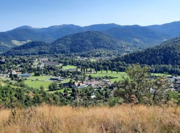 Excursión Senderismo Fellering - wesserling au Treh et retour - Photo