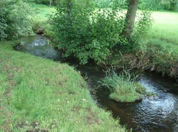 Tour Zu Fuß Biebergemünd - Spessartspuren - Bieber - Photo