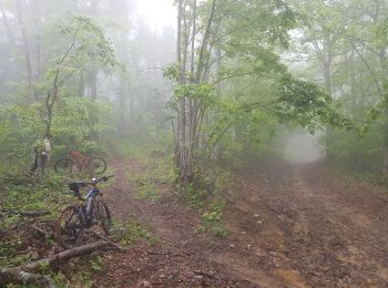 Trail Mountain bike Seyssins - Le Rocher du Châtelard  (Reco) - Photo