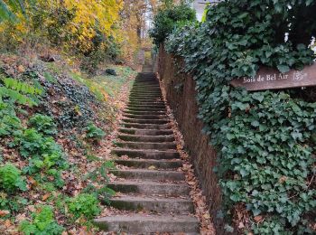 Percorso Marcia Igny - Igny  - Photo