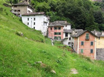 Randonnée A pied Valstrona - (SI E52) Campello Monti - Rifugio Alpe Del Lago - Photo