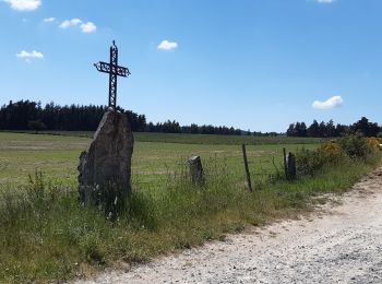 Randonnée Marche Peyre en Aubrac - le circuit des croix en partant de Aumont Aubrac  - Photo