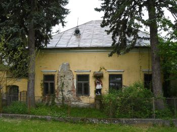 Percorso A piedi Fony - Fehér-kút - Hejce - Photo