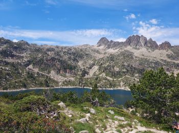 Trail Walking Bagnères-de-Bigorre - G2 articles lac de grezillard - Photo