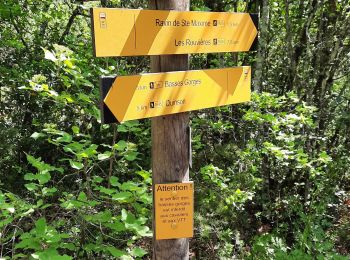 Tour Wandern Quinson - les Basses Gorges - Photo
