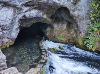 Tour Wandern Bélesta - Forêt de Belesta Ariège André  - Photo