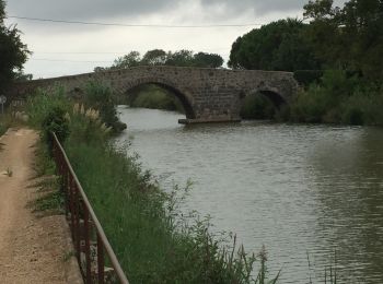 Tocht Stappen Agde - Agde - Photo