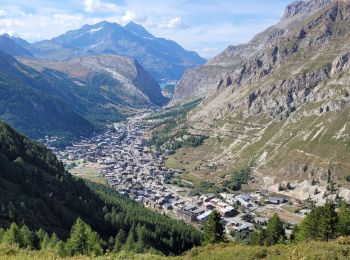 Tocht Stappen Val-d'Isère - de Solaise à légettaz par l'arolle millénaire - Photo