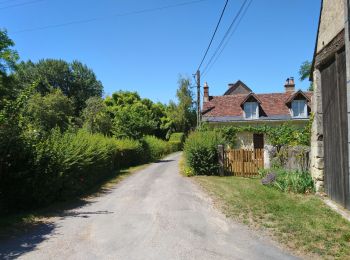 Trail Walking Cheillé - La-Chapelle-St-Blaise (Azay) - GR3 nord - 18.3km 180m 3h55 - 2018 04 15 - Photo