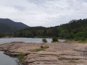 Tour Mountainbike Théoule-sur-Mer - tour de l'esterel - Photo