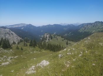 Tour Wandern Mieussy - le tour de la haute pointe  - Photo