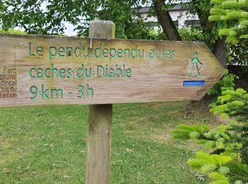 Trail Walking Canville-la-Rocque - Canville la rocque - Photo