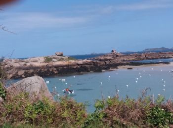 Tocht Stappen Perros-Guirec - 24-04-24GR34 - Photo