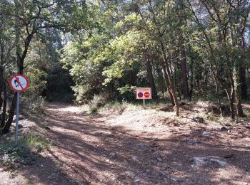 Trail Walking Flayosc - 20210922 Berne3 les Oussiayes - Photo