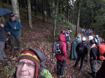 Tour Wandern Buhl - 2019.11.28.Barnabé - Photo